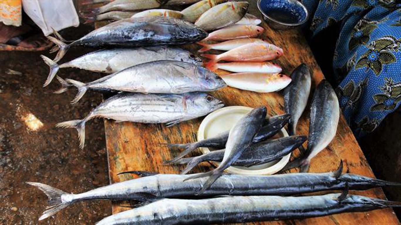Manfaat Laut Bagi Manusia di Bidang Ekonomi