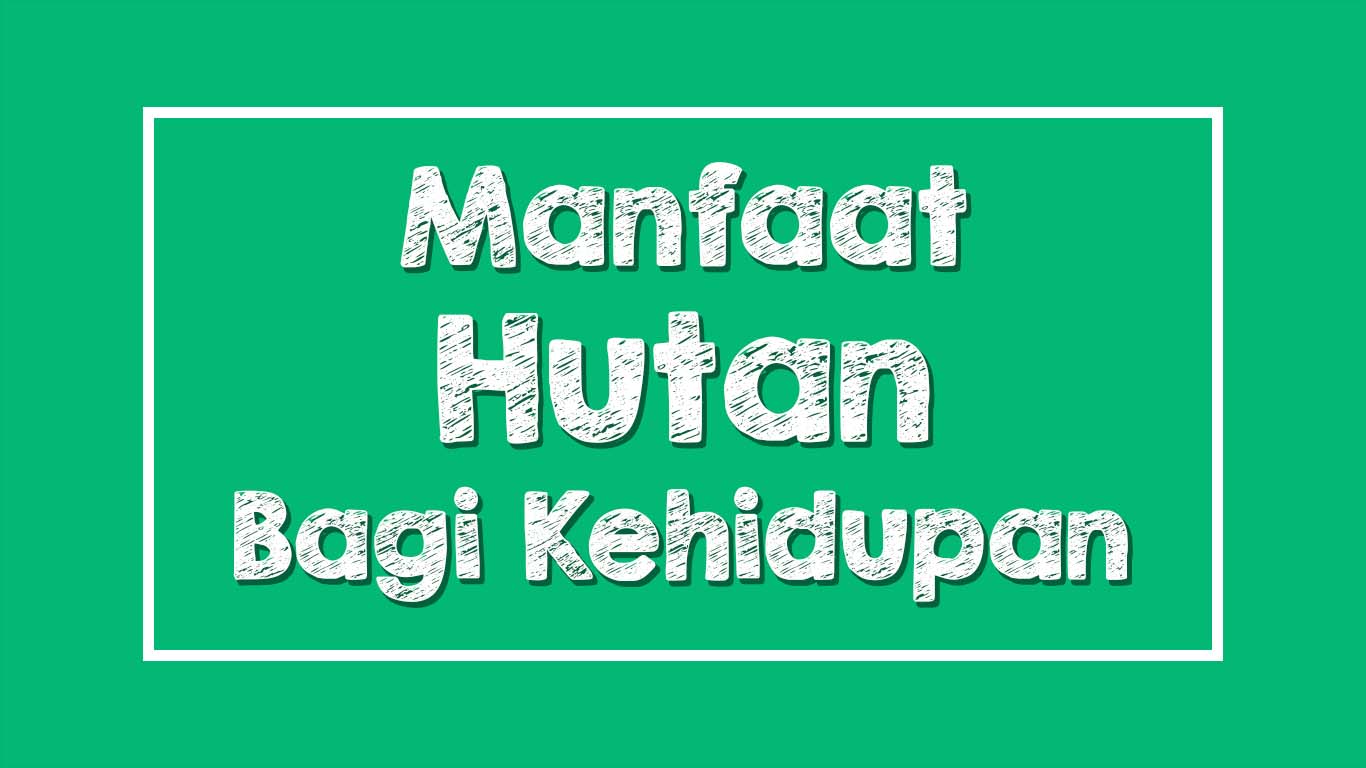 Manfaat Hutan
