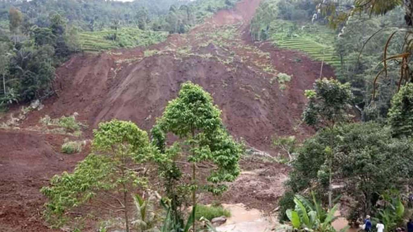 Manfaat Hutan