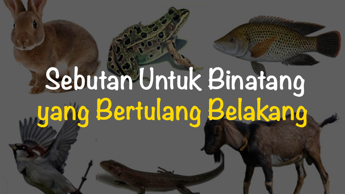 Sebutan Untuk Binatang yang Bertulang Belakang