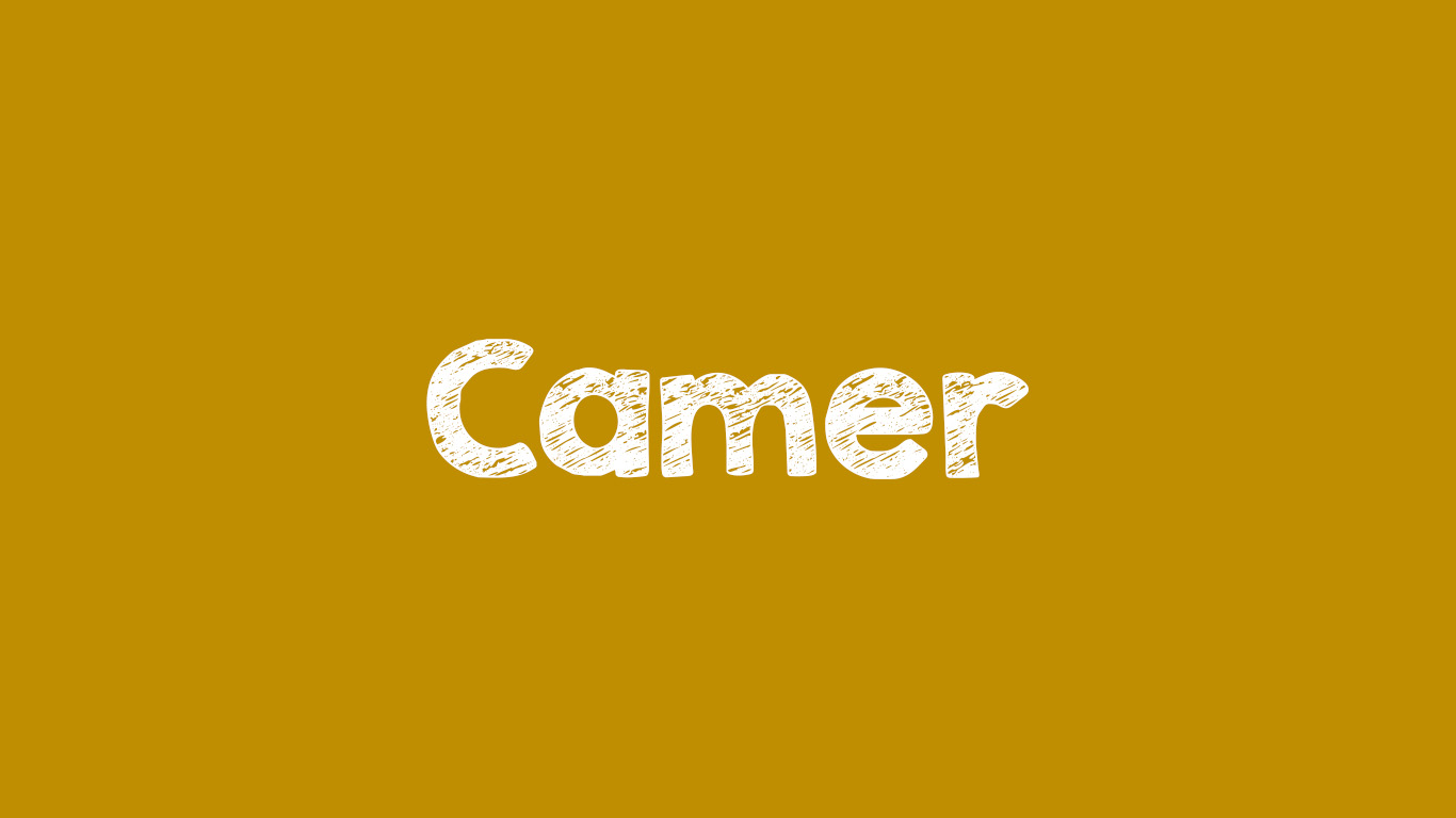 Arti Camer dalam Bahasa Gaul dan Contoh Kalimat